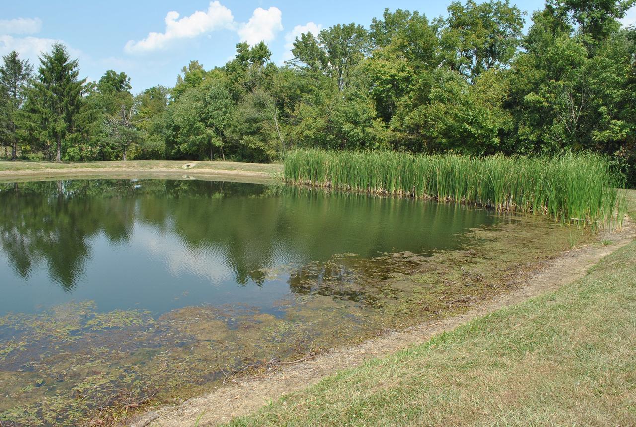 Wilmington Camping Resort Εξωτερικό φωτογραφία